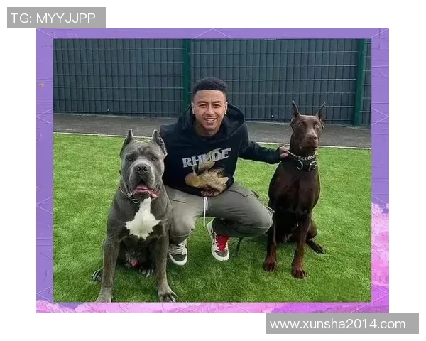 足球明星宠物狗大揭秘:他们钟爱哪些品种的狗狗陪伴生活 足球明星宠物狗大揭秘:他们钟爱哪些品种的狗狗陪伴生活