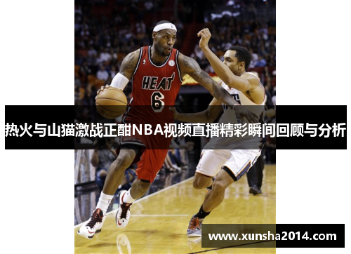 热火与山猫激战正酣NBA视频直播精彩瞬间回顾与分析